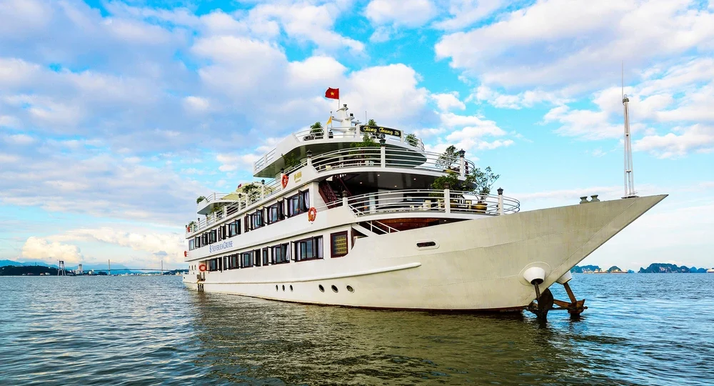 overview5 jonque swan_