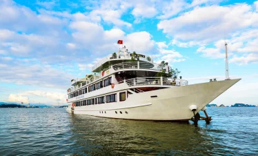 overview5 jonque swan_