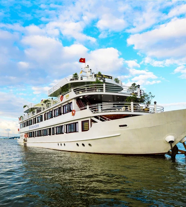 overview5 jonque swan_